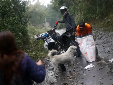 Relawan Bali Rumah Singgah Satwa memberi makan anjing yang ditinggalkan pengungsi di Dusun Sogra, Desa Sebudi, Karangasem, Bali, Minggu (3/12). (Liputan6.com/Immanuel Antonius)