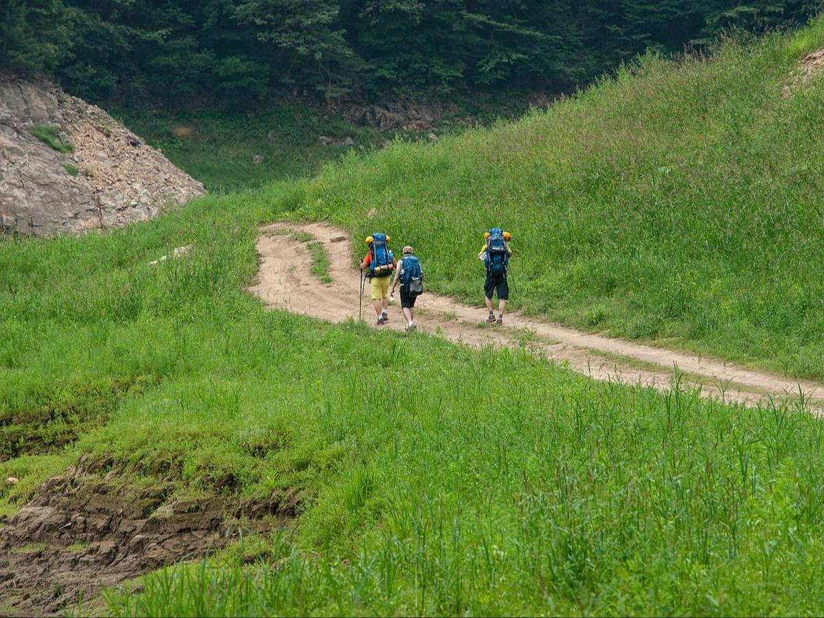3. Taman Hutan Raya Juanda