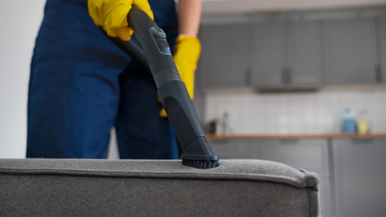 Cleaning Sofa