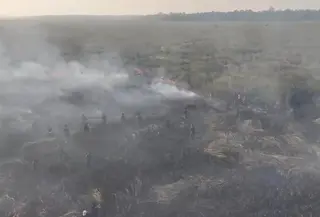 Api Kembali Muncul di TN Way Kambas, Total 774 Hektare Terbakar