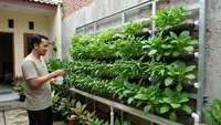 Trik Pasang Rangka Spasi 5 Cm pada Kebun Botol Vertikal, Cegah Tembok Rumah Lembap dan Berjamur Hitam