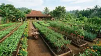 7 Inspirasi Kebun Rumah Ala Kampung di Lahan Luas Tapi Tetap Tertata Rapi