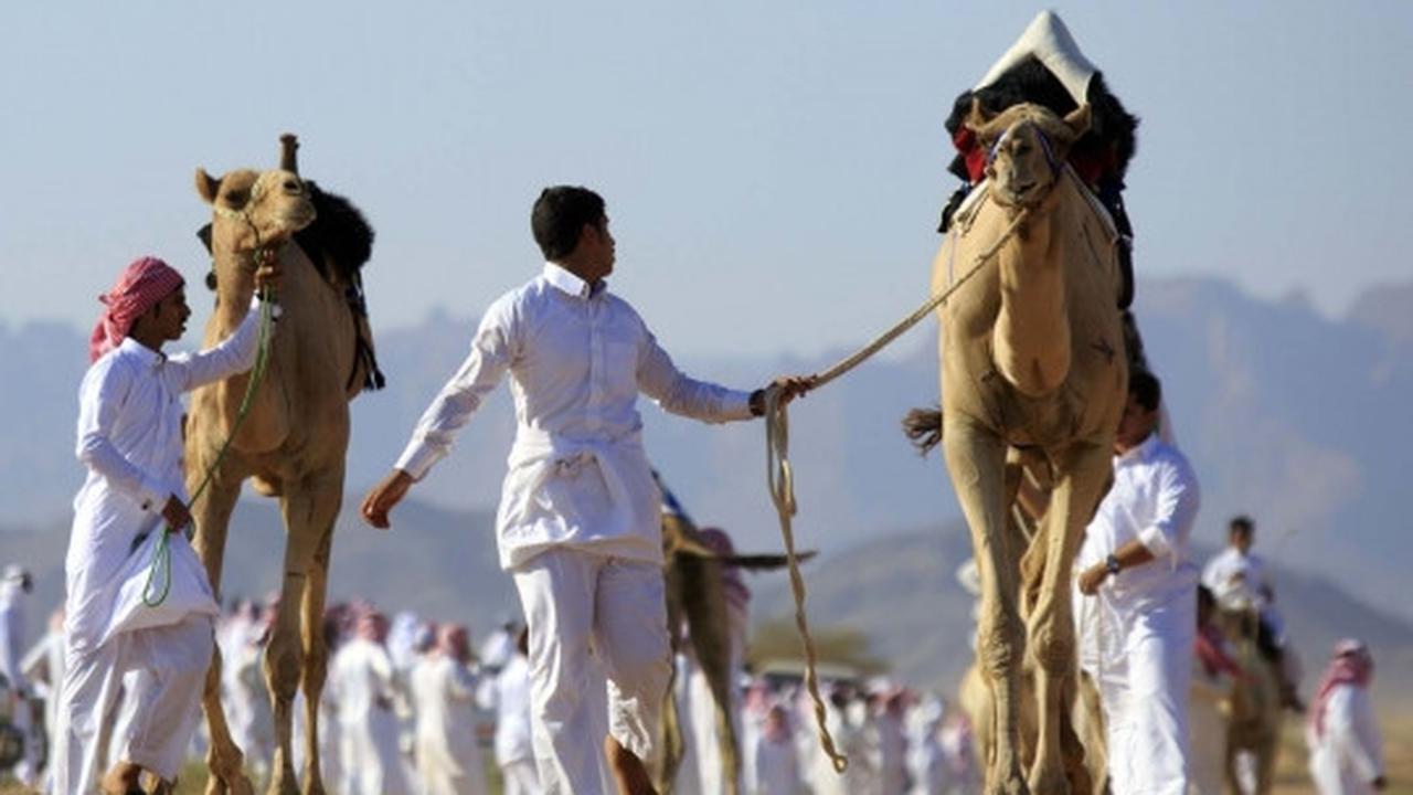 Tradisi balap unta meriahkan Idul Fitri di Arab Saudi