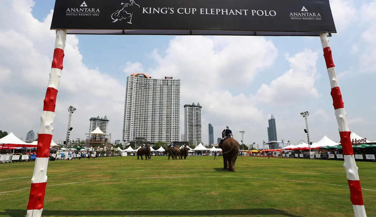 Para pemain Polo menunggang gajah saat mengikuti turnamen Elephant Polo King's Cup di Bangkok, Thailand (8/3). Turnamen ini digelar bertujuan mengumpulkan dana untuk kehidupan populasi gajah liar. (AP Photo / Sakchai Lalit)