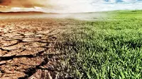 Target Pertumbuhan Ekonomi RI 'Dibayangi' El Nino