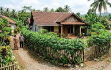 10 Ide Pagar Rumah dari Tanaman Hidup yang Murah, Bisa Dibuat Sendiri