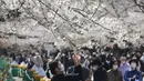 Orang-orang yang memakai masker berjalan di bawah bunga sakura di Tokyo, Selasa (23/3/2021). Keadaan darurat virus Covid-19 di Tokyo dan tiga provinsi sekitarnya resmi dicabut pada akhir hari Minggu, 21 Maret 2021. (AP Photo/Koji Sasahara)