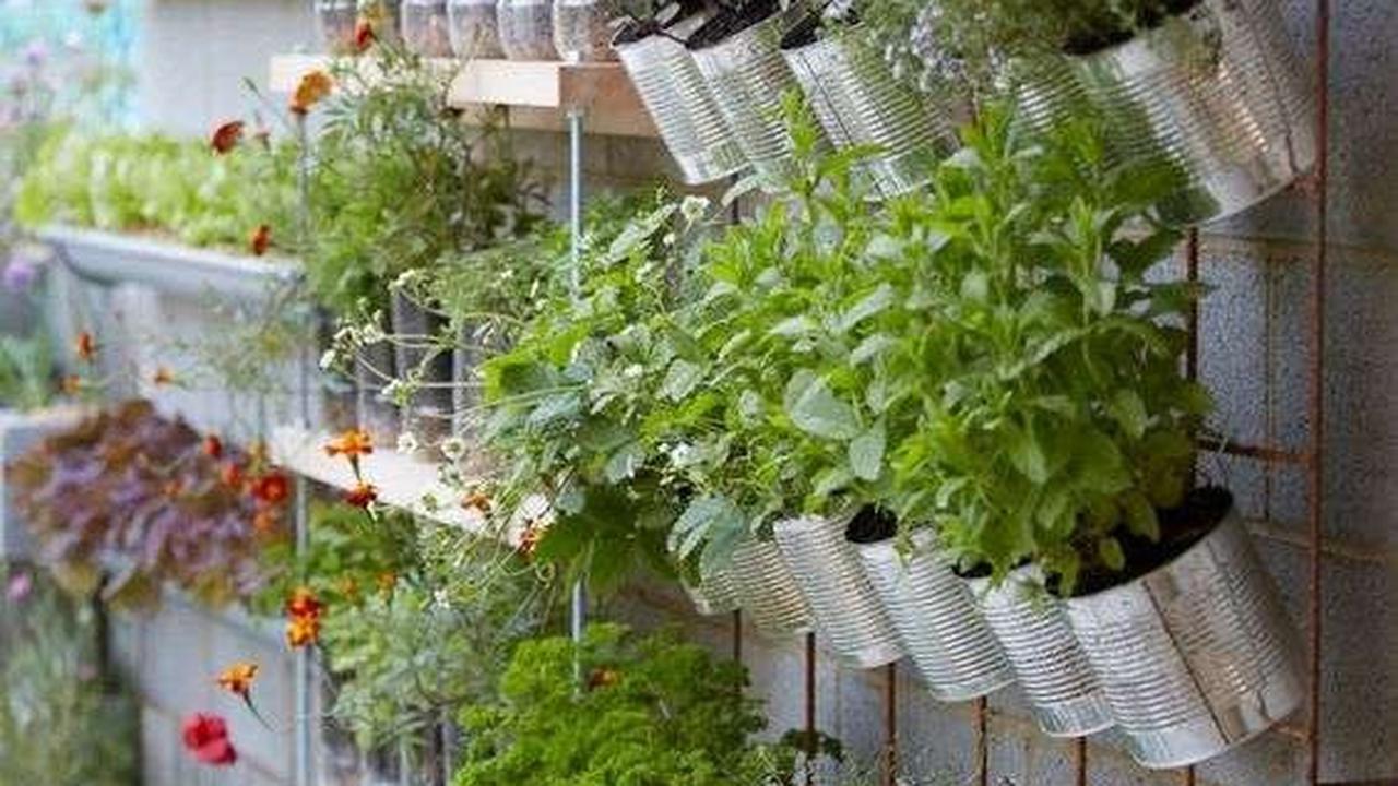 Desain Vertical Garden Minimalis