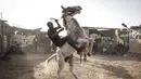 Seorang joki berlatih untuk mengendalikan kudanya di Ouagadougou (1/2/2022). Bagi banyak orang budaya kuda Burkinabe memainkan peran penting dalam kehidupan mereka, mulai dari beternak kuda untuk balap atau berpakaian, atau hingga acara pacuan kuda hari Minggu di trek lokal. (AFP/John Wessels)
