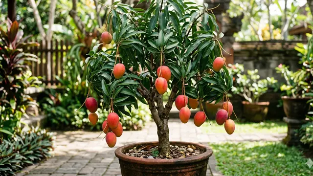 Jenis Pohon Mangga yang Tidak Tinggi (Foto: Gemini AI)