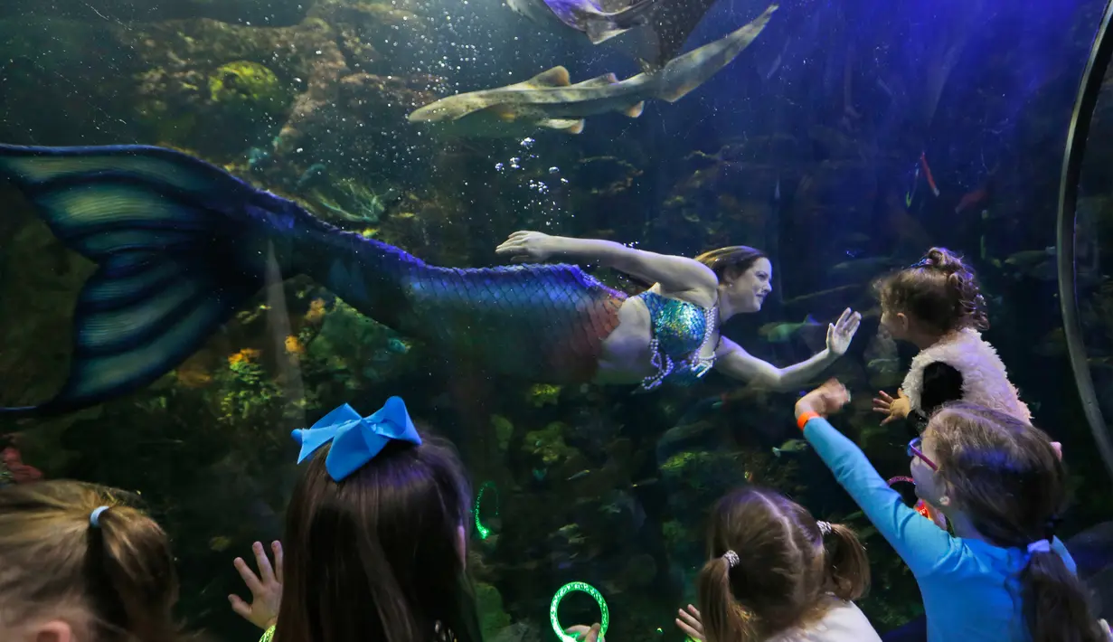 Sejumlah anak-anak menonton atraksi Malena Sharkey, wanita yang menjadi putri duyung di Virginia Aquarium di Virginia Beach (3/4). Aquarium ini menyajikan atraksi putri duyung setiap minggunya selama bulan April. (AP Photo/Steve Helber)