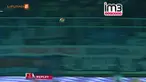 Cuplikan Arema Vs Persela Lamongan, Minggu (6/11/2016)