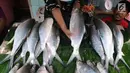 Pedagang menujukkan ikan badeng di kawasan Rawa Belong, Jakarta, Senin (4/2). Jelang tahun baru Imlek penjual Ikan bandeng menjamur di Jalan Rawa Belong dan dibanderol harganya mulai dari Rp 50.000 per kilogram. (Liputan6.com/Herman Zakharia)