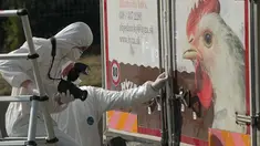 Ditemukannya truk berisi mayat-mayat ini didasari oleh laporan warga yang mengatakan bahwa tercium bau busuk setiap mereka melintas dekat truk tersebut.