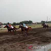 Antusiasme Tinggi di Kejuaraan Pacuan Kuda Bantul: 138 Kuda Bersaing Raih Triple Crown
