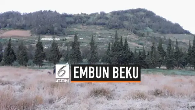 VIDEO: Berburu Embun Beku di Dataran Tinggi Dieng