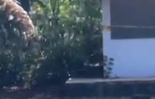 Terkuak, Anak Perwira TNI AU Tewas di Lanud Halim Ternyata Tusuk dan Bakar Diri Sendiri