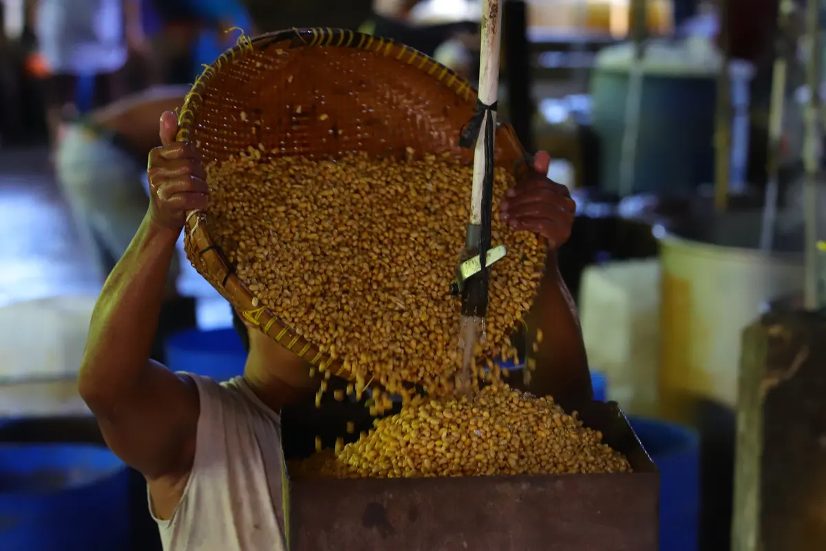 Perajin Tahu Kembali Berproduksi