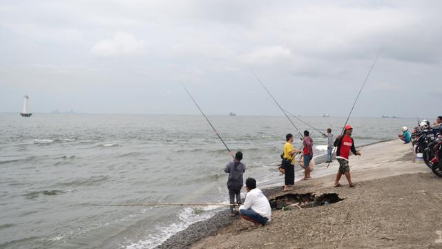 Awas Ubur Ubur Api Muncul Di Pantai Cilacap Regional