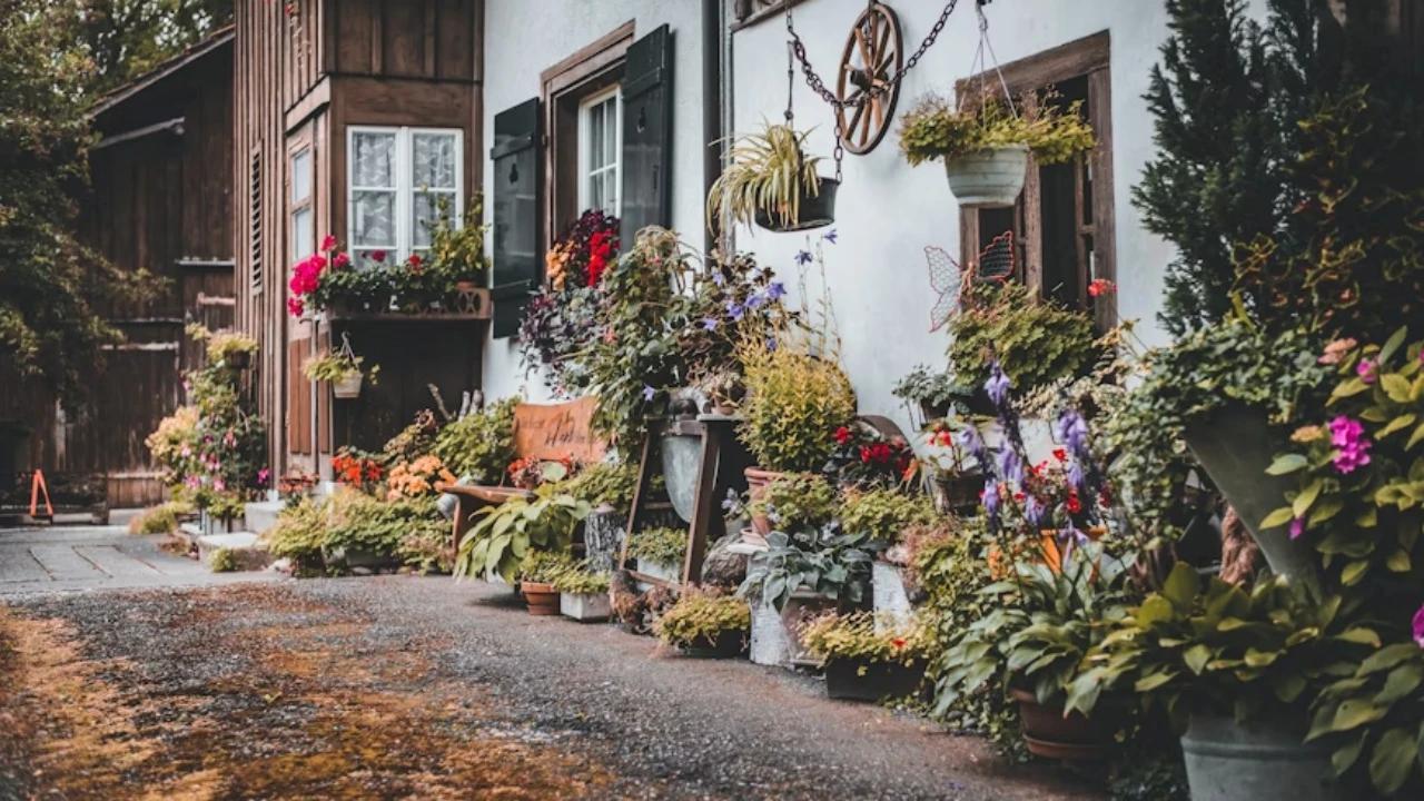 9 Cara Memanfaatkan Lahan Sempit untuk Kebun Mini yang Aman dan Kreatif, Tunjang Produktivitas di Rumah