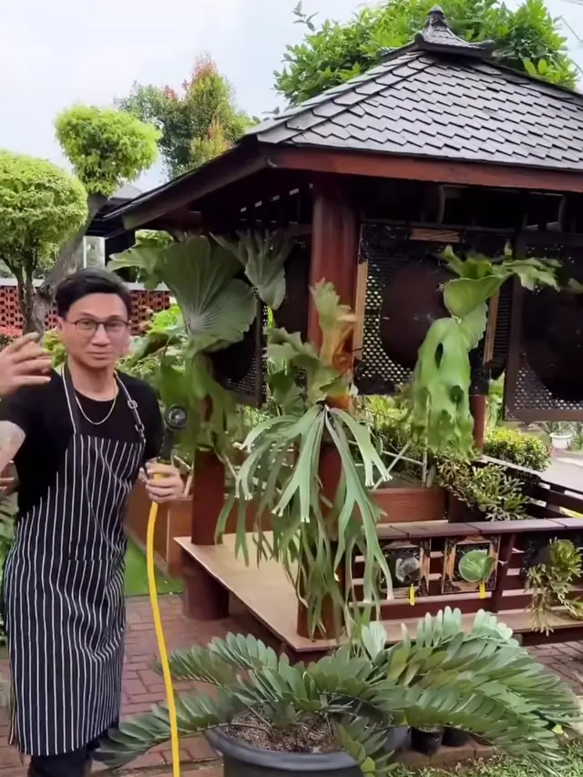 Kebun Rumah Anji