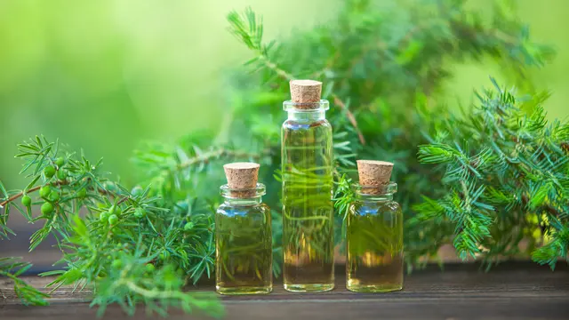 Tea Tree Oil