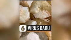 THUMBNAIL VIRUS