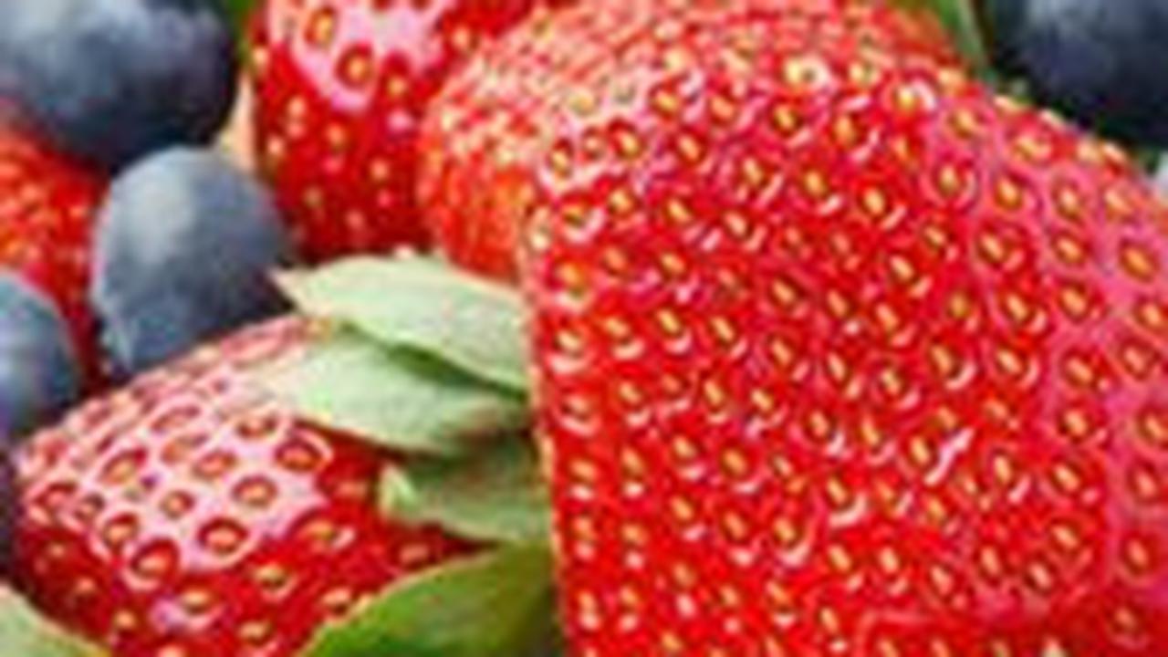 100 Nama-Nama Buah dalam Bahasa Inggris Lengkap Beserta Artinya, Bantu Asah Kosa Kata Anak