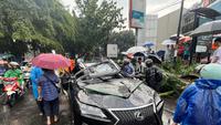 Kesaksian Warga saat Pohon Palem Tumbang di Pondok Indah Timpa Lexus dan Tewaskan Eks Direktur Danareksa