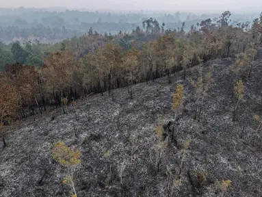 Foto udara ini memperlihatkan lahan yang terdampak kebakaran hutan di Kapuas Hulu, Kalimantan Barat, Jumat, 4 September 2026. (AFP/ Bay Ismoyo)