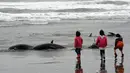 Lebih dari 130 lumba-lumba berkepala ikan paus (Pephonocephala Electra) terdampar di pantai Hokota, Jepang, Jumat (10/4/2015). Beberapa anak melihat dari dekat sejumlah ikan yang terdampar dipinggir pantai Hokota. (AFP PHOTO/Toshifumi Kitamura)