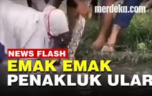 VIDEO: Enggak Ada Takut-Takutnya Si Emak, Sigap Banget Tangkap Ular Besar