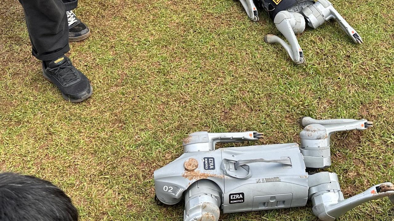robot anjing k9