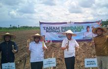 Fakta Unik: Magetan Tanam Perdana Tebu Bongkar Ratoon, Dorong Percepatan Swasembada Gula Nasional 2026