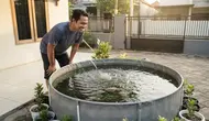Cara Budidaya Gurame Tanpa Kolam Tanah, Panen Melimpah di Lahan Sempit Pekarangan Rumah
