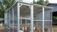 7 Model Kandang Ayam dari Kawat Ram dan Cara Membuatnya untuk Peternak Rumahan