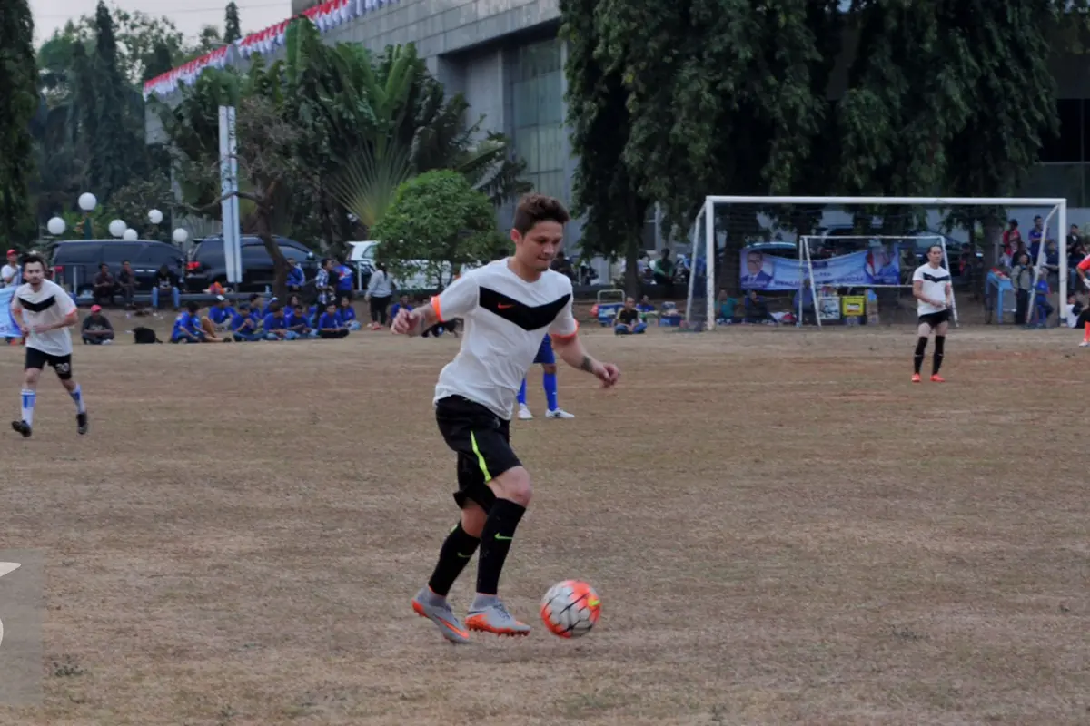 Syamsir Alam
