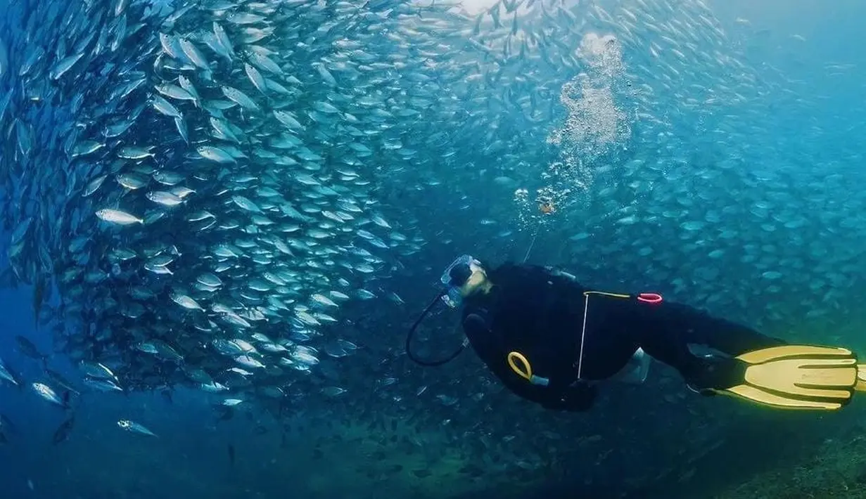 Di dalam air, Prilly Latuconsina terlihat asik berenang bersama ikan-ikan [instagram/prillylatuconsina96]