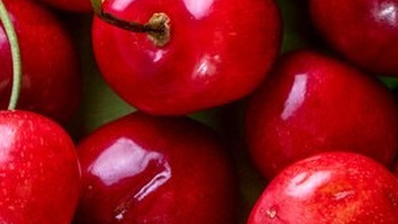 Sebagai penegas, Michael Greger, seorang dokter dan penulis, mengatakan, "Buah ceri adalah salah satu makanan paling kaya antioksidan yang dapat Anda makan."