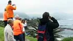 Berada di Hermanus, kawasan Cape Town pengunjung bisa menyaksikan tingkah paus. Atau merasakan kesejukan serta udara yang bersih di Signal Hill, Cape Town. 