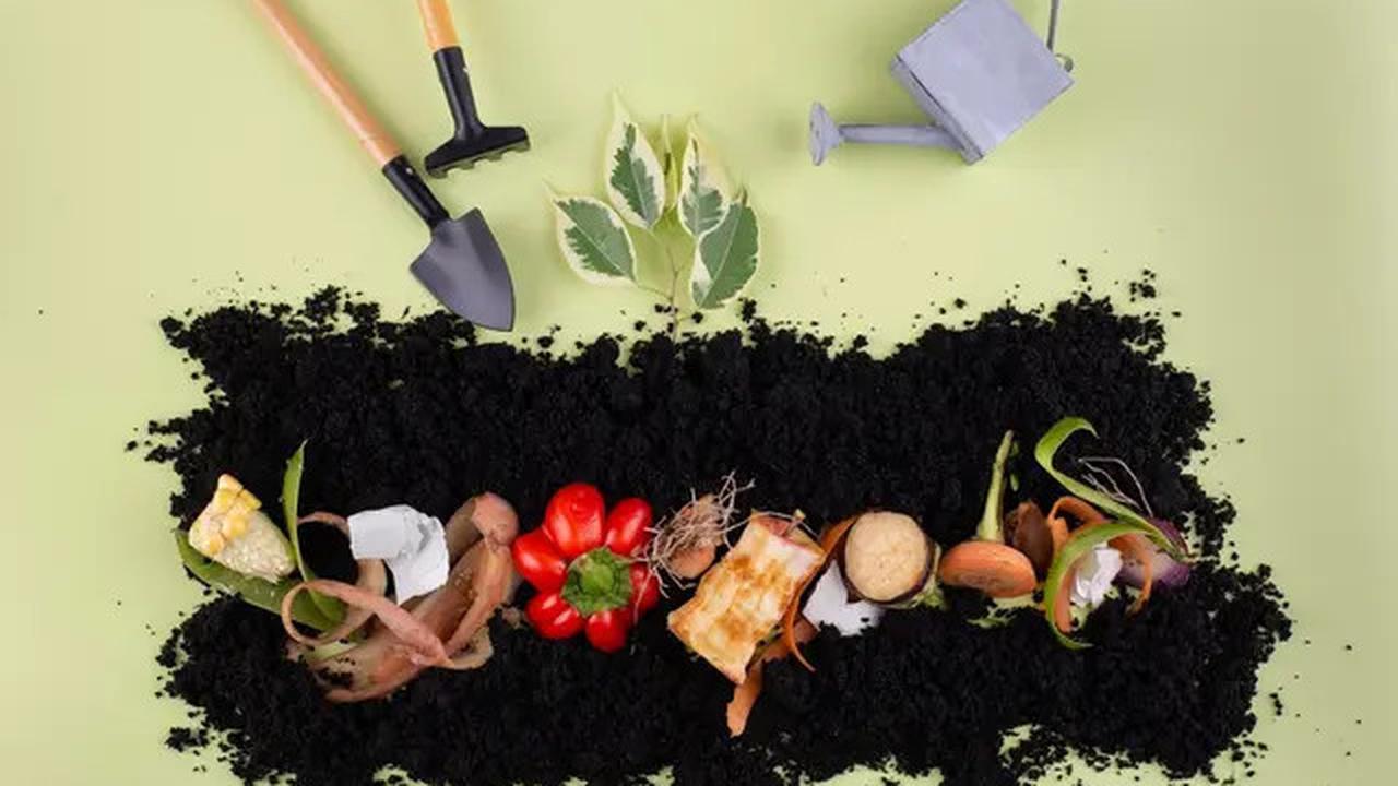 7 Jenis Sampah Rumah Tangga yang Bisa Mengundang Kehadiran Ular