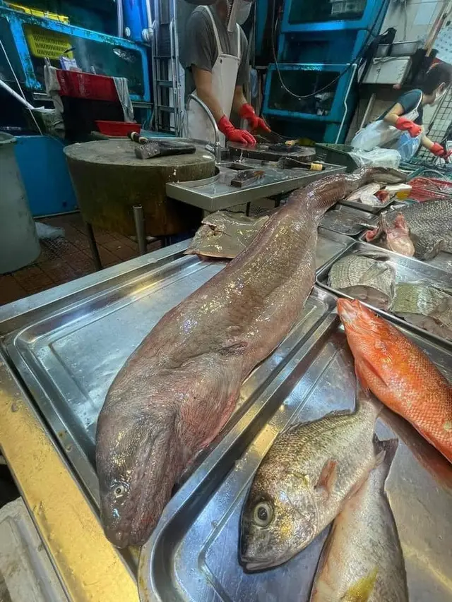 Pasar Makanan Laut Ini Jual Belut Raksasa, Ukurannya Bikin Melongo