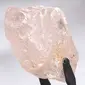 Berlian merah muda langka. (Lucapa Diamond.Co)