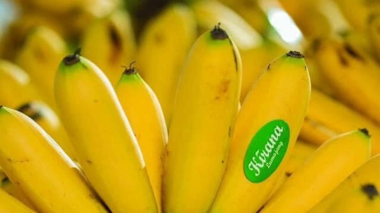 Pisang Mas Kirana Lumajang