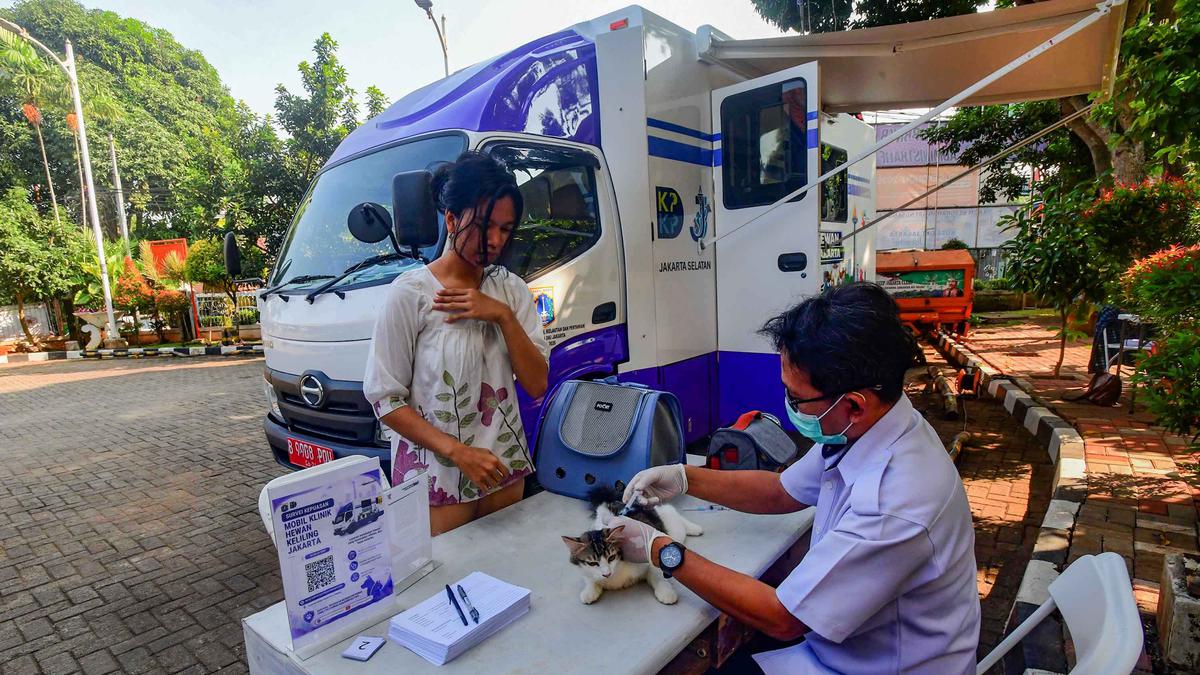 Puskeswan dan Mobil Klinik Hewan Keliling Permudah Warga Jakarta Rawat Hewan Kesayangan