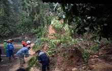 Akses Jalan Padang-Painan Terputus Akibat Longsor, Penanganan Darurat Dilakukan