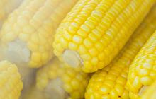 7 Cara Menyimpan Jagung Kupas agar Tidak Cepat Kering dan Tetap Segar