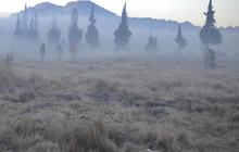 Dinginnya udara Dieng sampai embun berubah jadi es