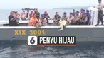 vertical penyu hijau