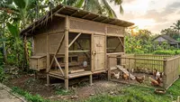 8 Desain Kandang Ayam dari Bambu yang Murah tapi Tetap Kokoh dan Tahan Lama
